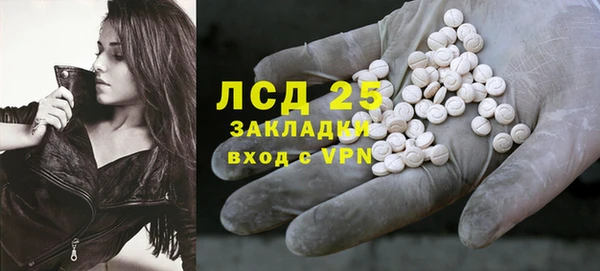индика Новозыбков