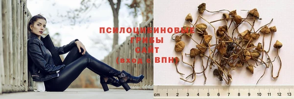крисы Абинск