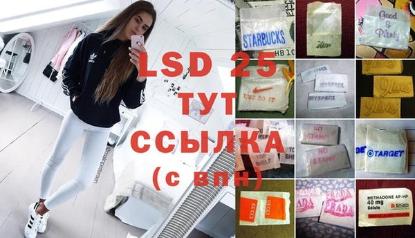 индика Новозыбков