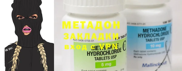 индика Новозыбков