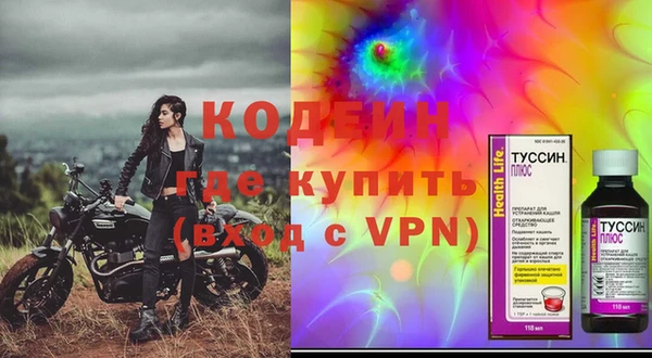 индика Новозыбков