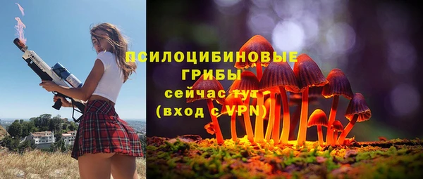 apvp Новокубанск