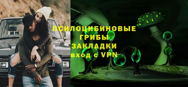 индика Новозыбков