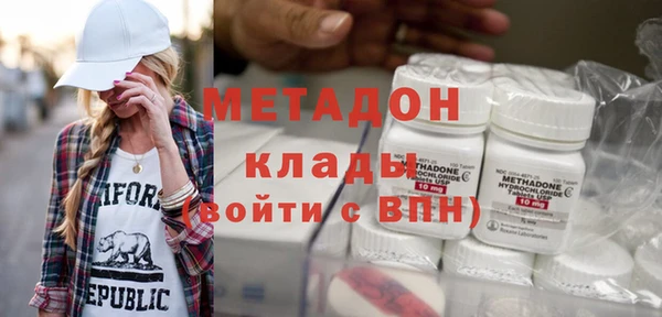 индика Новозыбков
